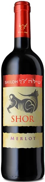 שילה מרלו שור 2022
