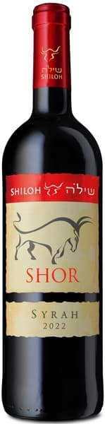 שילה סירה שור 2022